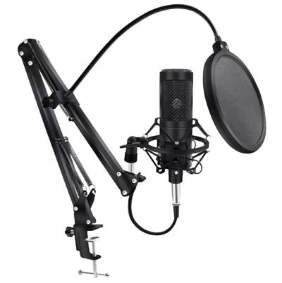 COMBO DE MICROFONO CON CABLE 3.5MM Y SOPORTE BM-800TZ